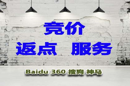 SEM网络推广案例：精准营销助力品牌成长